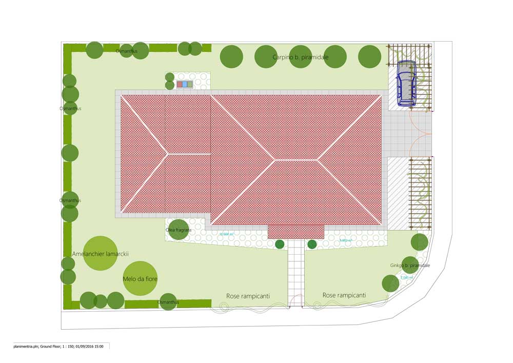 Planimetria progetto di giardino