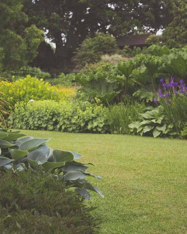 Bordure miste per giardino provincia vicenza